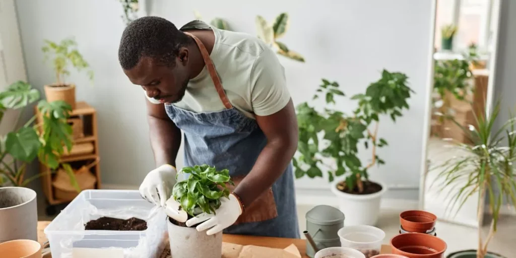 What Are the Best Soil Mixes for Indoor Gardening? What Are the Best Soil Mixes for Indoor Gardening?