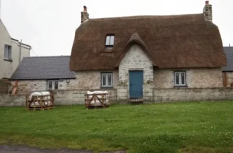 The Benefits of Dethatching Your Lawn