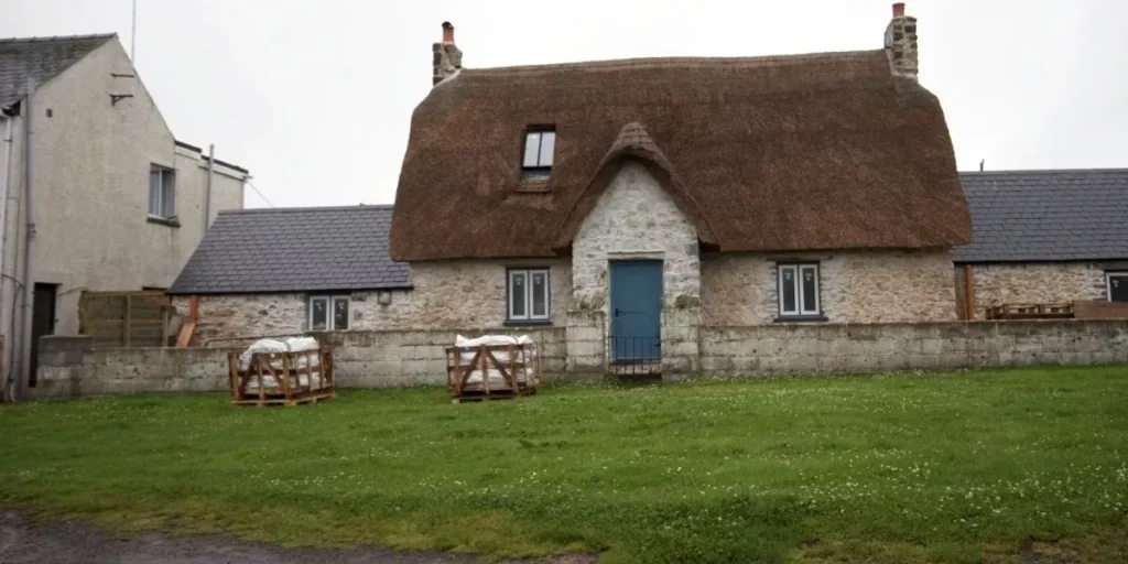 The Benefits of Dethatching Your Lawn The Benefits of Dethatching Your Lawn